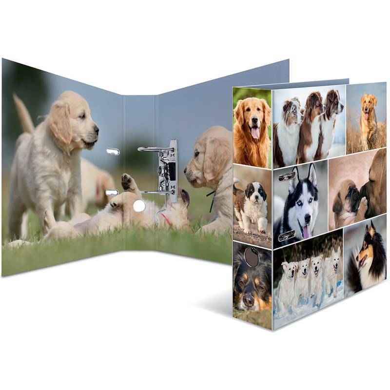 HERMA Ordner A4 Hunde Multimedia-Technik PapierBüroSchreibwar