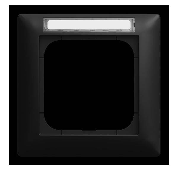 Busch-Jaeger Abdeckrahmen 1721 NSK-915