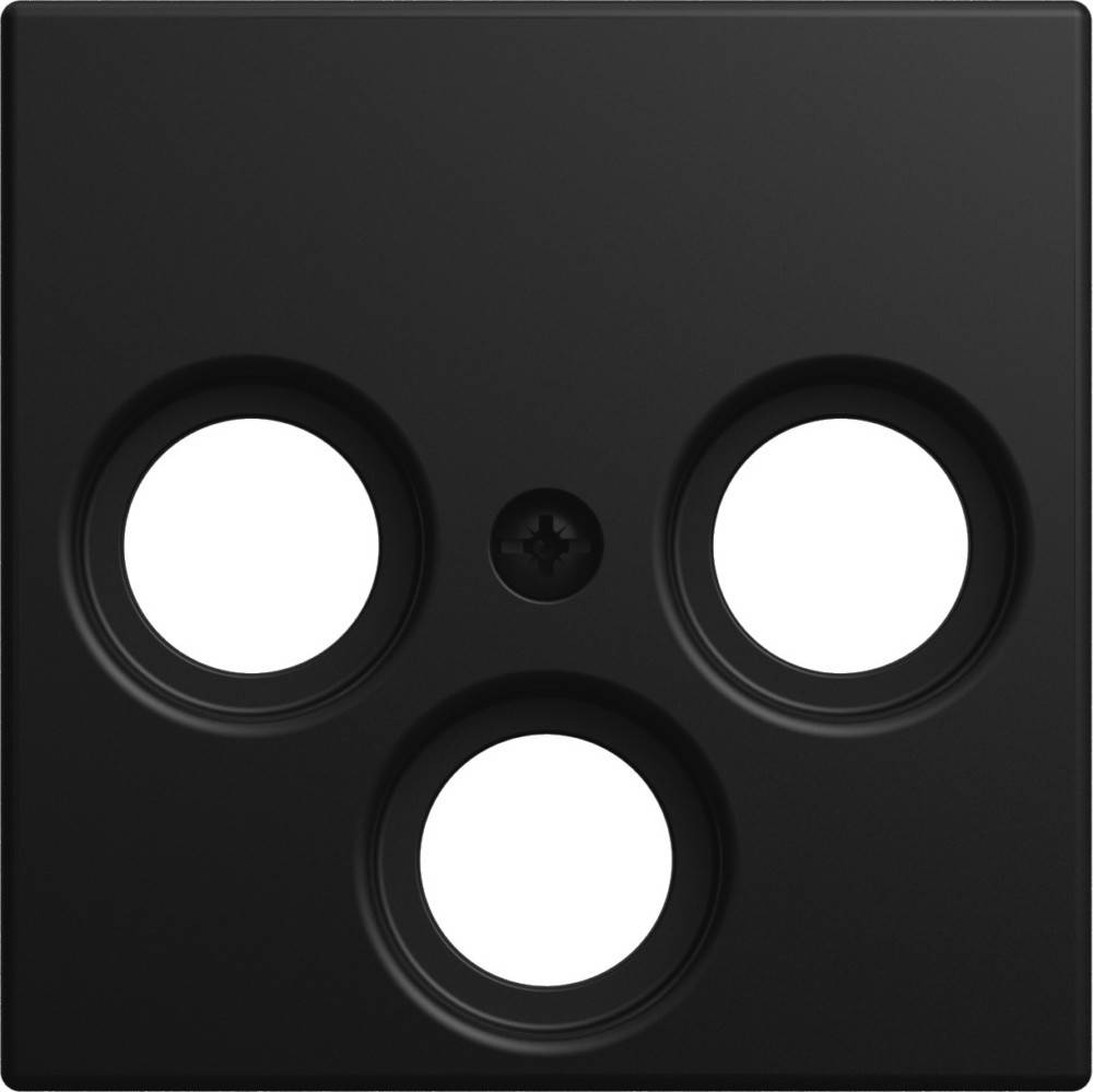 Busch-Jaeger Zentralscheibe 1743-03-915