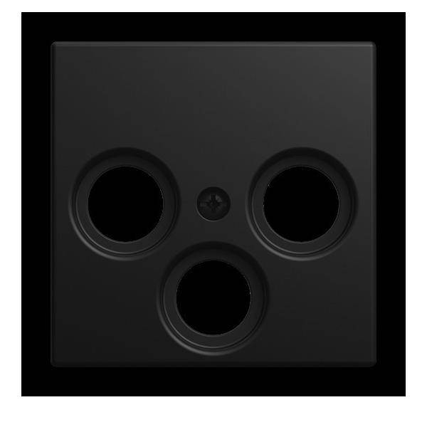 Busch-Jaeger Zentralscheibe 1743-03-915