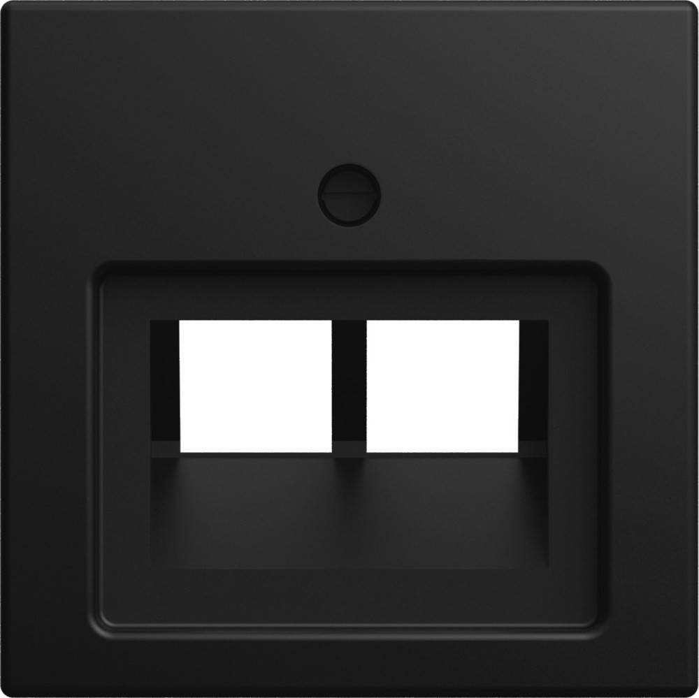 Busch-Jaeger Zentralscheibe 1803-02-915