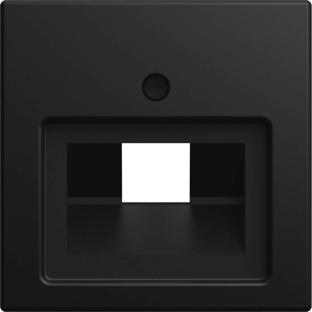 Busch-Jaeger Zentralscheibe 1803-915