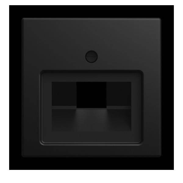 Busch-Jaeger Zentralscheibe 1803-915