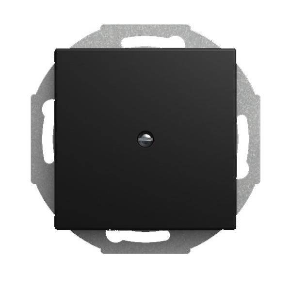 Busch-Jaeger Zentralscheibe 2527-915