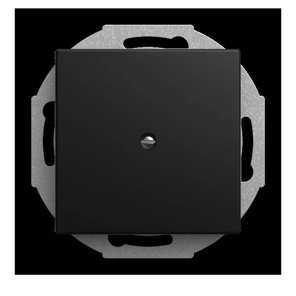 Busch-Jaeger Zentralscheibe 2527-915