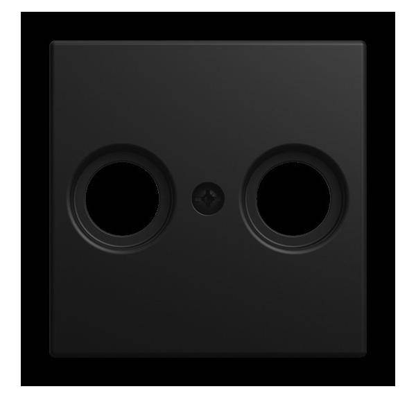 Busch-Jaeger Zentralscheibe 2531-915