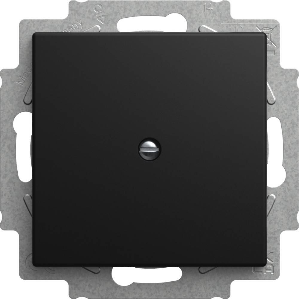 Busch-Jaeger Blindzentralscheibe 2538-915