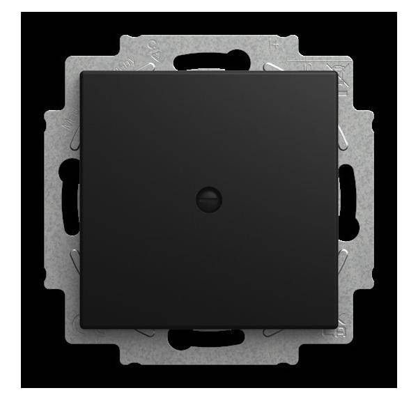 Busch-Jaeger Blindzentralscheibe 2538-915