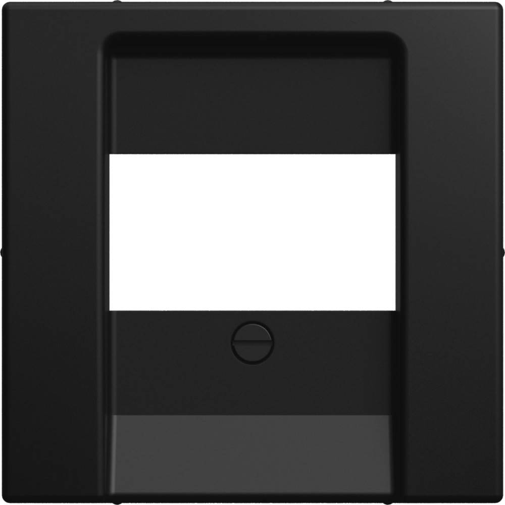 Busch-Jaeger Zentralscheibe 2539-915