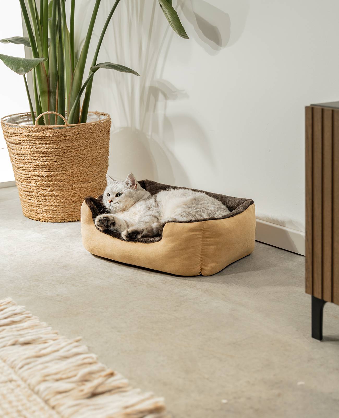 lionto Katzenbett, weiches Kuschelbett mit herausnehmbarem Wendekissen & Anti-Rutsch-Boden, pflegeleicht & modern, 50x37 cm, beige/braun