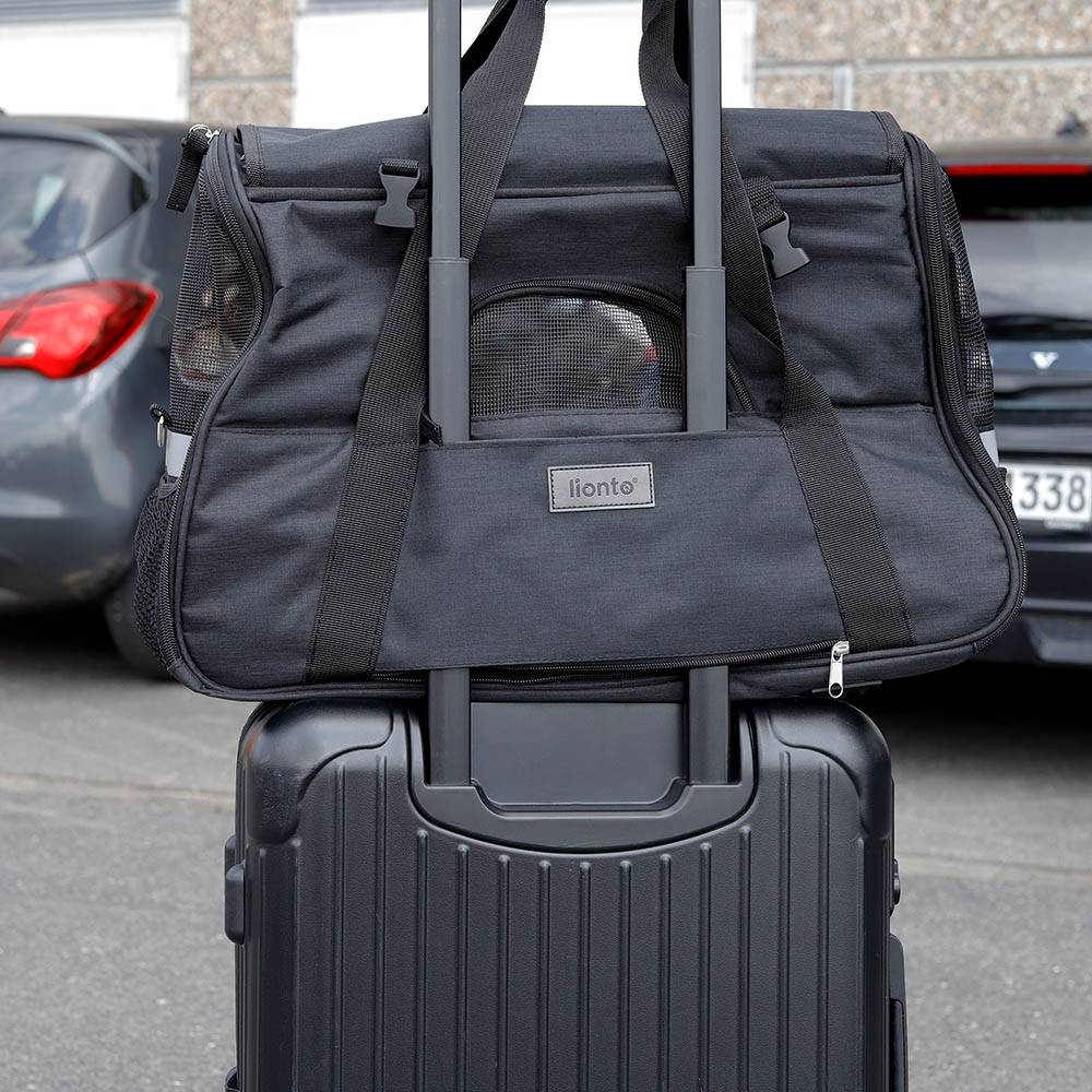 lionto Katzen Transporttasche, faltbar & atmungsaktiv, mit Tragegriff, Schultergurt, Liegekissen & Reflektoren, schwarz