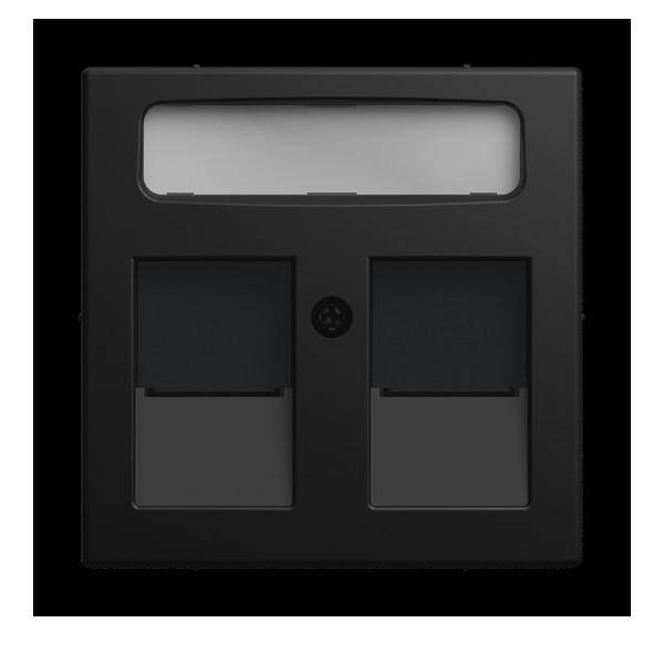 Busch-Jaeger Zentralscheibe 1800-915