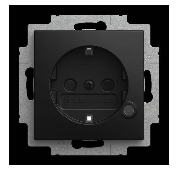 Busch-Jaeger Steckdosen-Einsatz 20 EUCBL-915