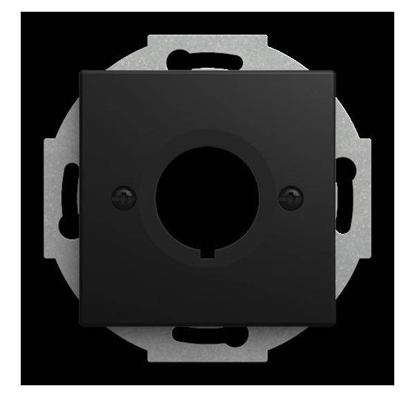 Busch-Jaeger Zentralscheibe 2533-915