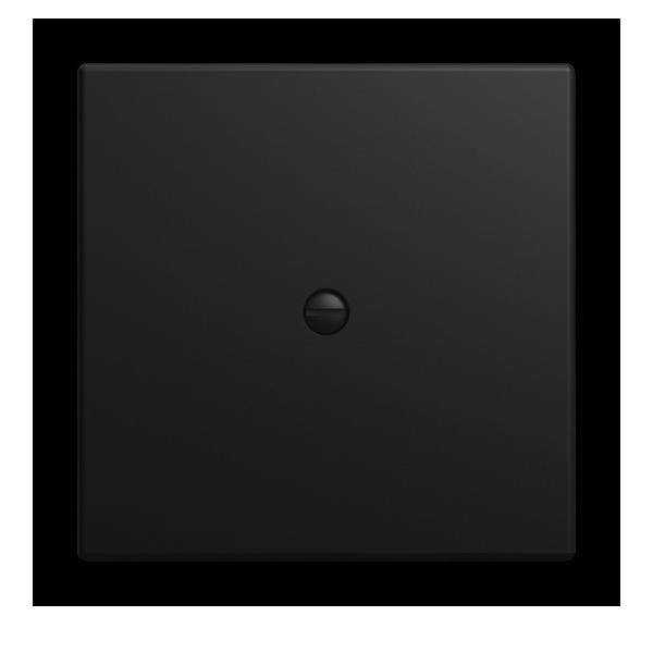 Busch-Jaeger Zentralscheibe 2536-915