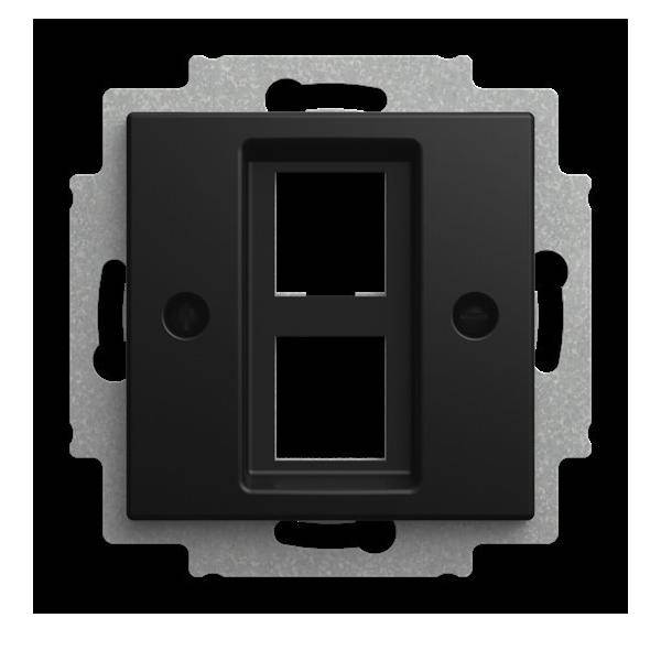 Busch-Jaeger Zentralscheibe 2561-02-915