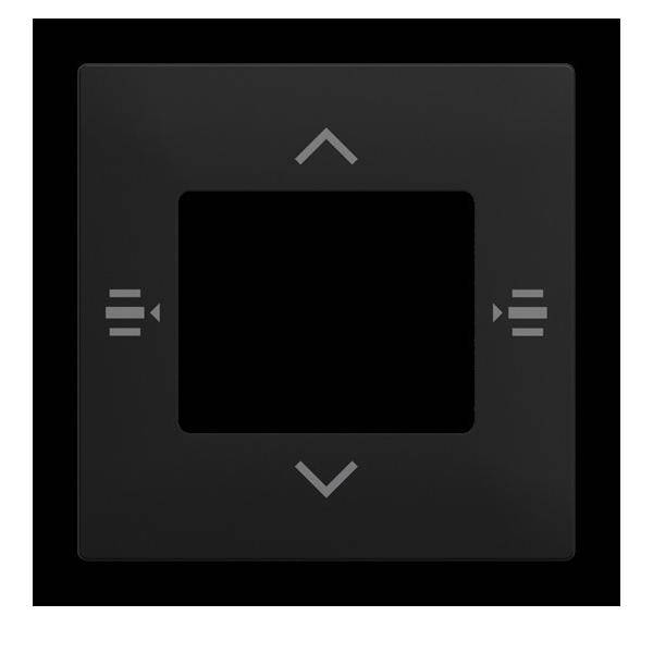 Busch-Jaeger Zentralscheibe 6108/61-915