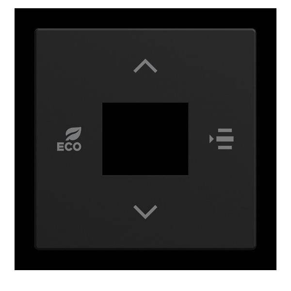 Busch-Jaeger Zentralscheibe 6236-915