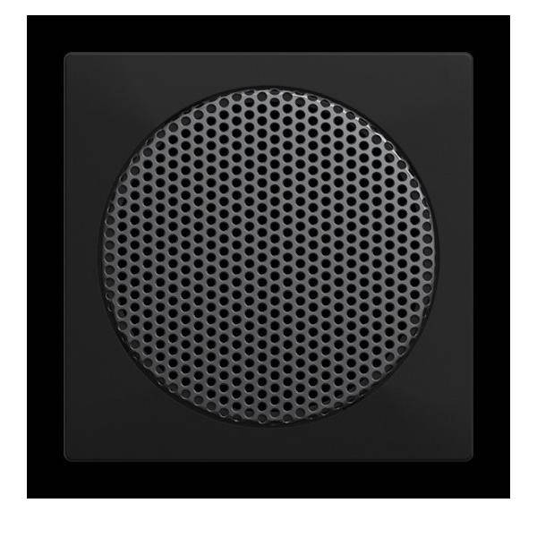 Busch-Jaeger Zentralscheibe 8253-915