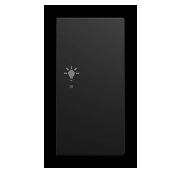 Busch-Jaeger Wippe 6231-22-915