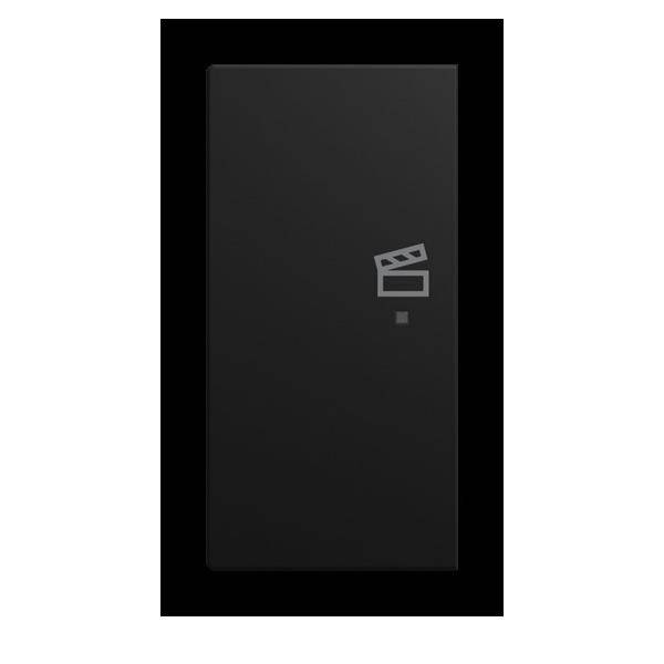 Busch-Jaeger Wippe 6233-21-915