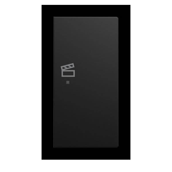 Busch-Jaeger Wippe 6233-22-915