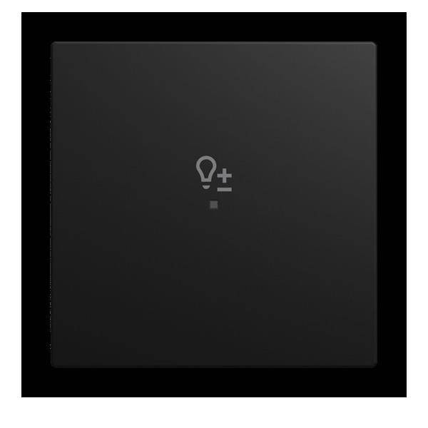 Busch-Jaeger Wippe 6234-10-915