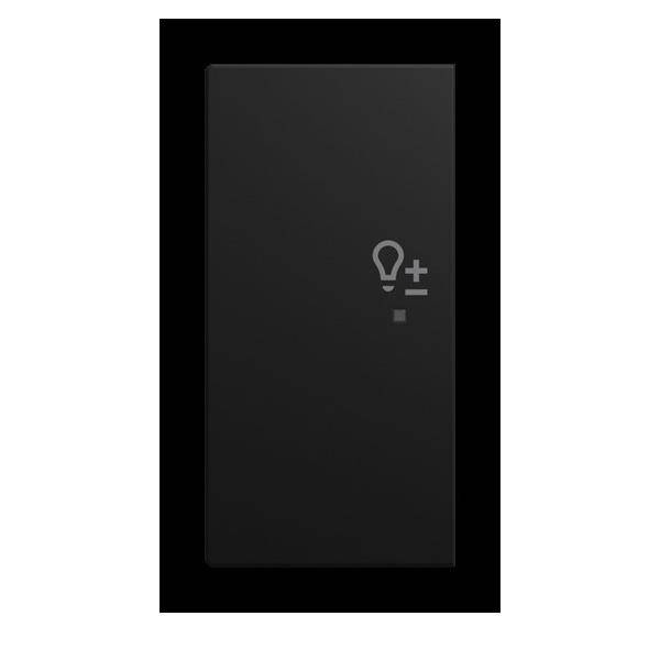 Busch-Jaeger Wippe 6234-21-915