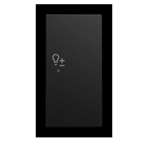 Busch-Jaeger Wippe 6234-22-915