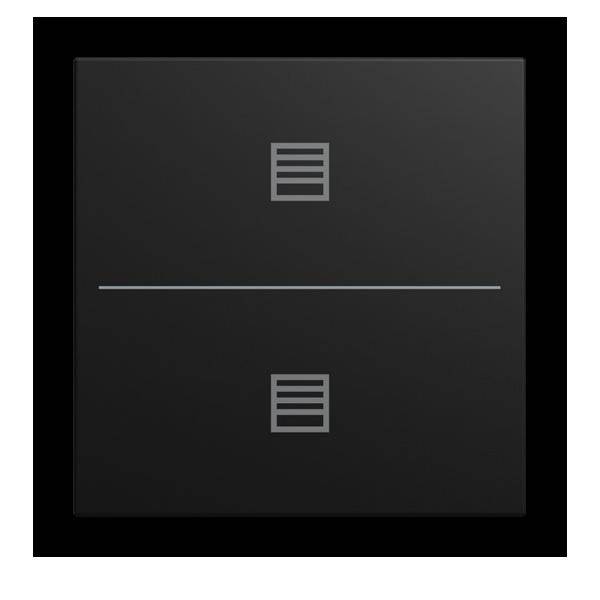 Busch-Jaeger Abdeckung LFJT/A.2.55.11-915