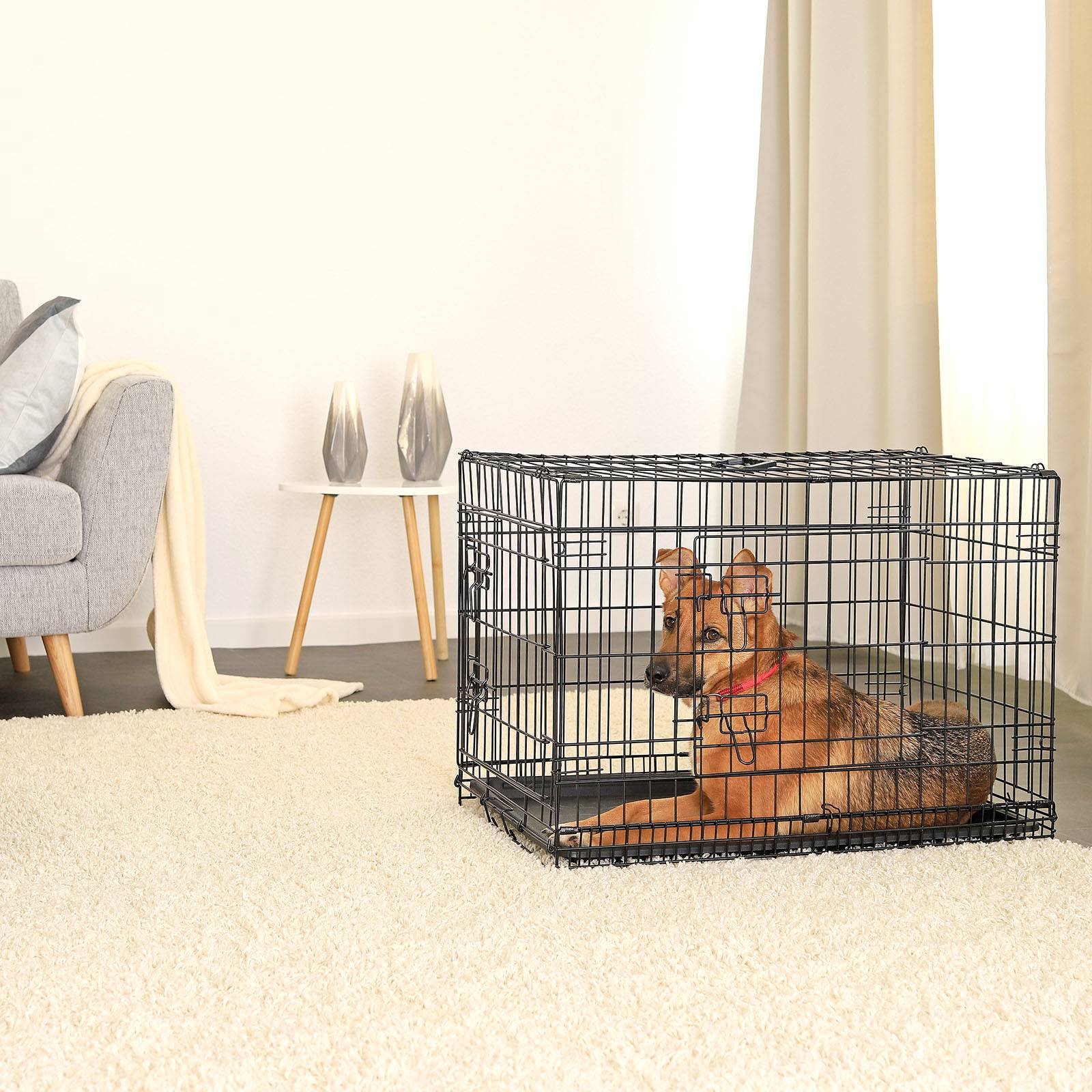 lionto Transportkäfig für Katzen aus Metall, stabil & klappbar mit Trennwand & Kunststoffbodenwanne, 76x49x56 cm