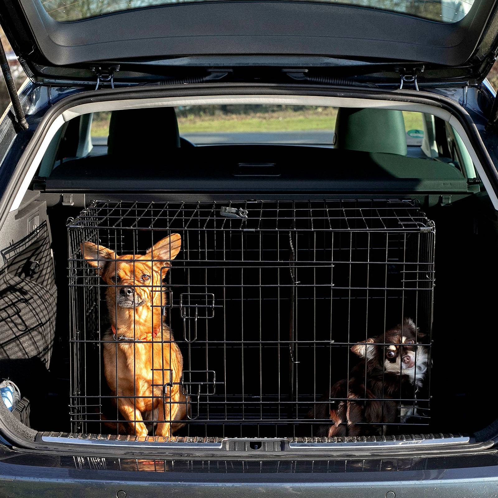 lionto Transportkäfig für Katzen aus Metall, stabil & klappbar mit Trennwand & Kunststoffbodenwanne, 76x49x56 cm