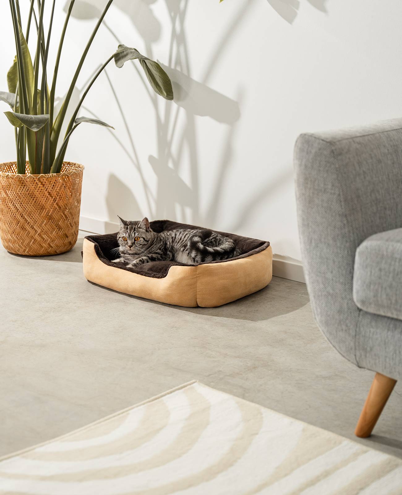 lionto Katzenbett, weiches Kuschelbett mit herausnehmbarem Wendekissen & Anti-Rutsch-Boden, pflegeleicht & modern, 60x48 cm, beige/braun