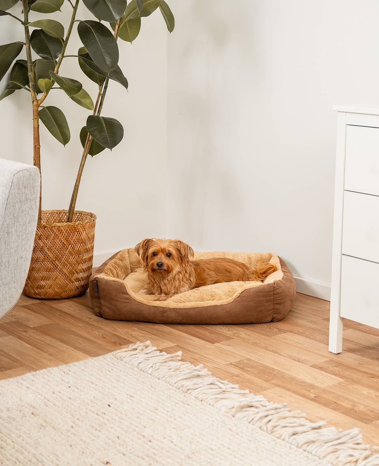 lionto Hundebett, weiches Kuschelbett mit herausnehmbarem Wendekissen & Anti-Rutsch-Boden, 75x60 cm, braun/beige