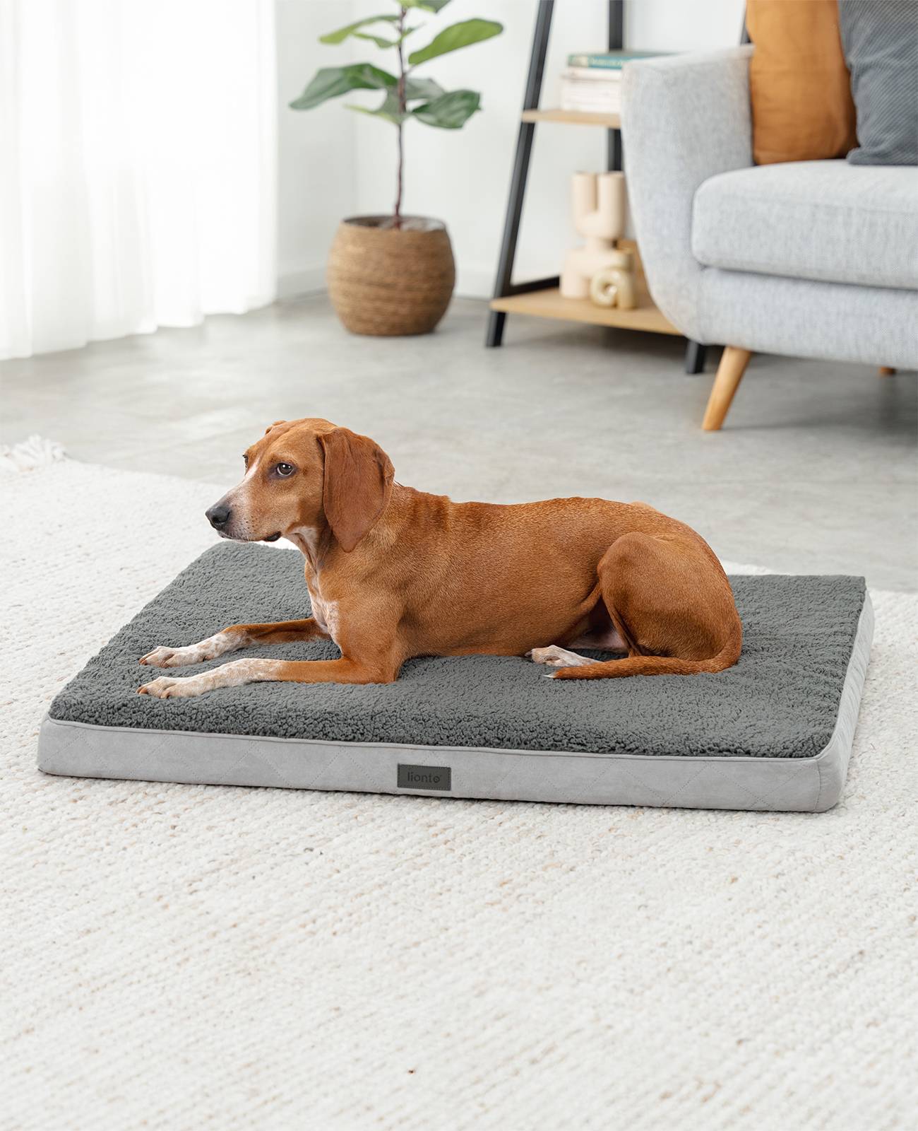 lionto Hundebett, orthopädisches Bett mit Plüschoberfläche & Wildlederimitat, abnehmbarer Bezug & Tragegriff, 91x69x8 cm, grau