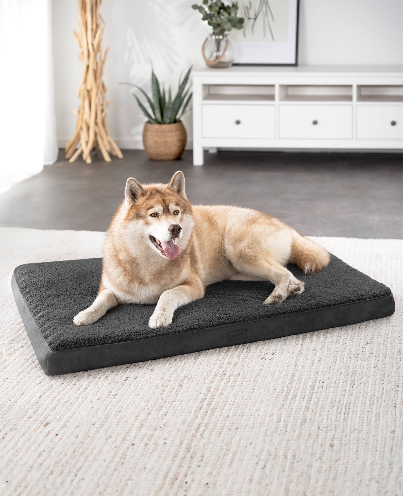 lionto Hundebett, orthopädisches Bett mit Plüschoberfläche & Wildlederimitat, abnehmbarer Bezug & Tragegriff, 112x81x8 cm, schwarz