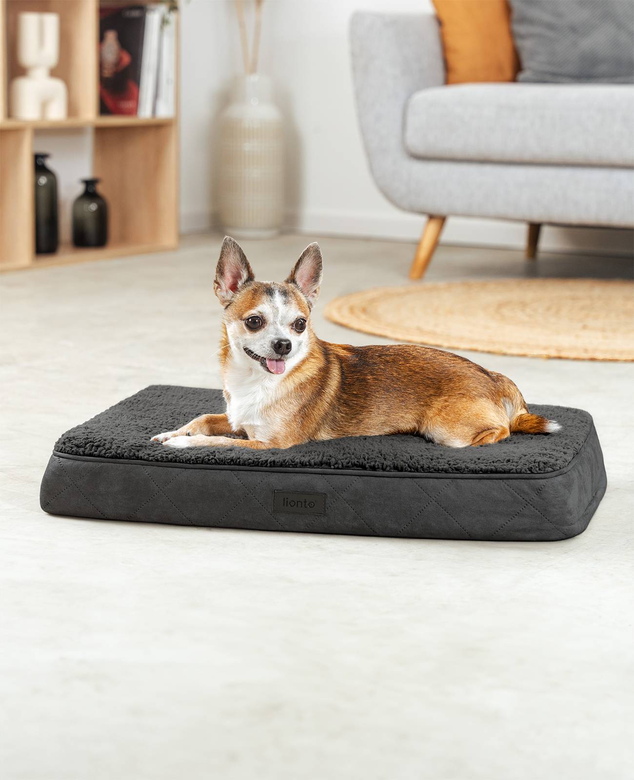 lionto Hundebett, orthopädisches Bett mit Plüschoberfläche & Wildlederimitat, abnehmbarer Bezug & Tragegriff, 60x40x8 cm, schwarz