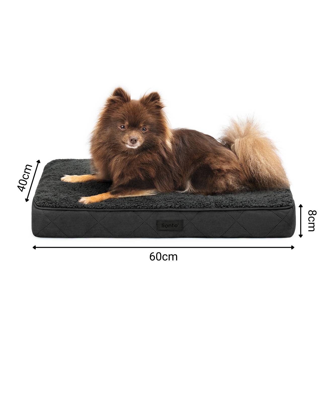lionto Hundebett, orthopädisches Bett mit Plüschoberfläche & Wildlederimitat, abnehmbarer Bezug & Tragegriff, 60x40x8 cm, schwarz