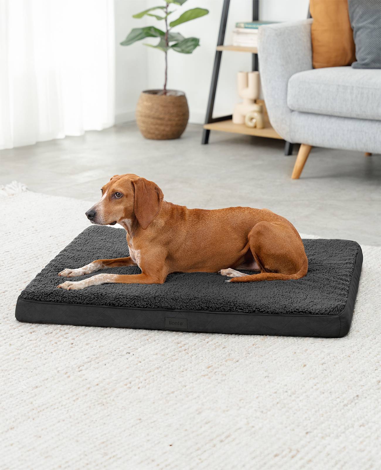 lionto Hundebett, orthopädisches Bett mit Plüschoberfläche & Wildlederimitat, abnehmbarer Bezug & Tragegriff, 91x69x8 cm, schwarz