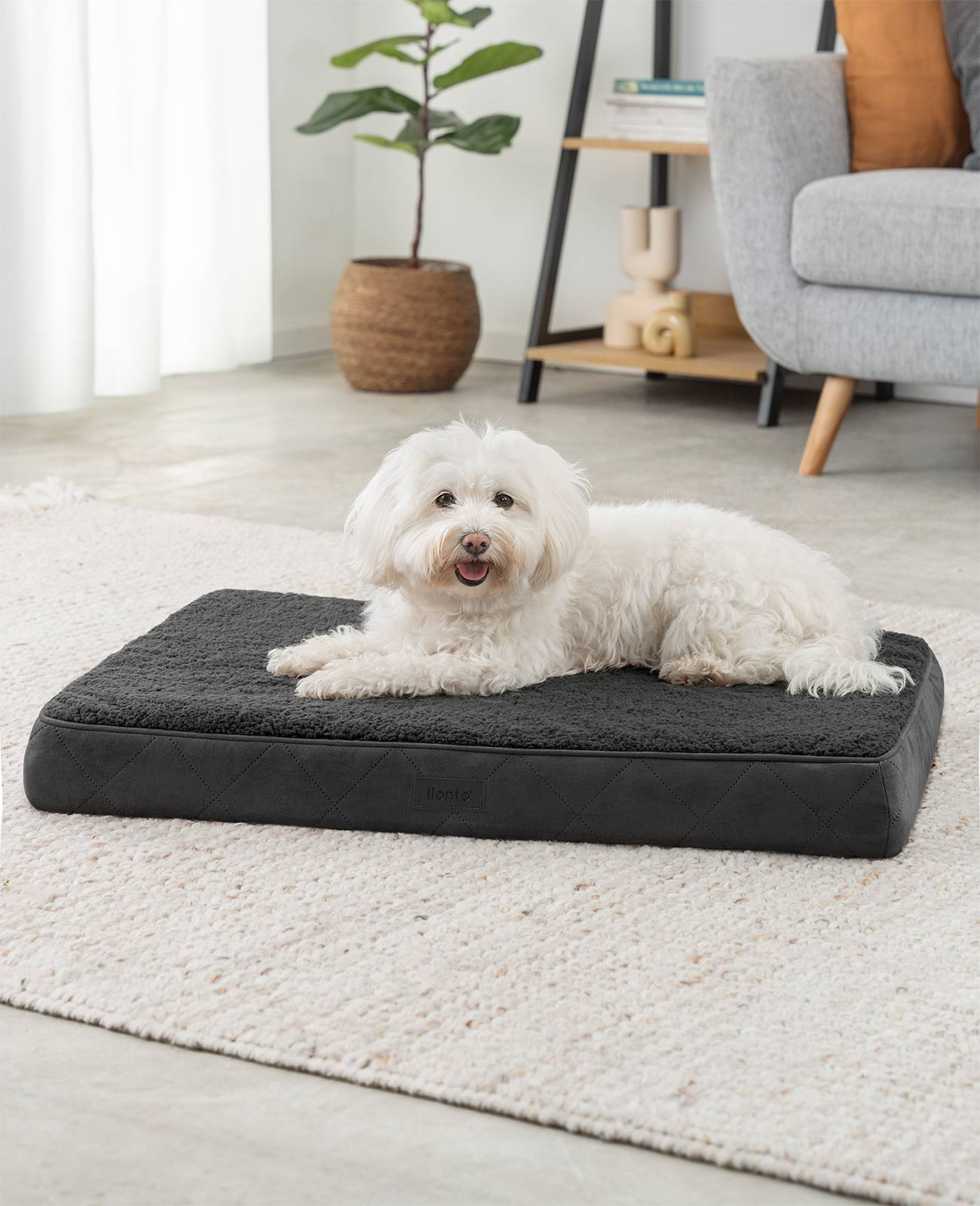 lionto Hundebett, orthopädisches Bett mit Plüschoberfläche & Wildlederimitat, abnehmbarer Bezug & Tragegriff, 76x51x8 cm, schwarz