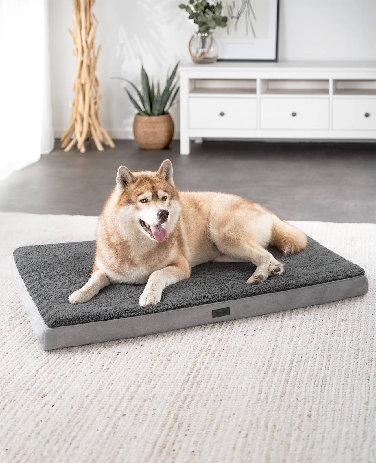 lionto Hundebett, orthopädisches Bett mit Plüschoberfläche & Wildlederimitat, abnehmbarer Bezug & Tragegriff, 112x81x8 cm, grau