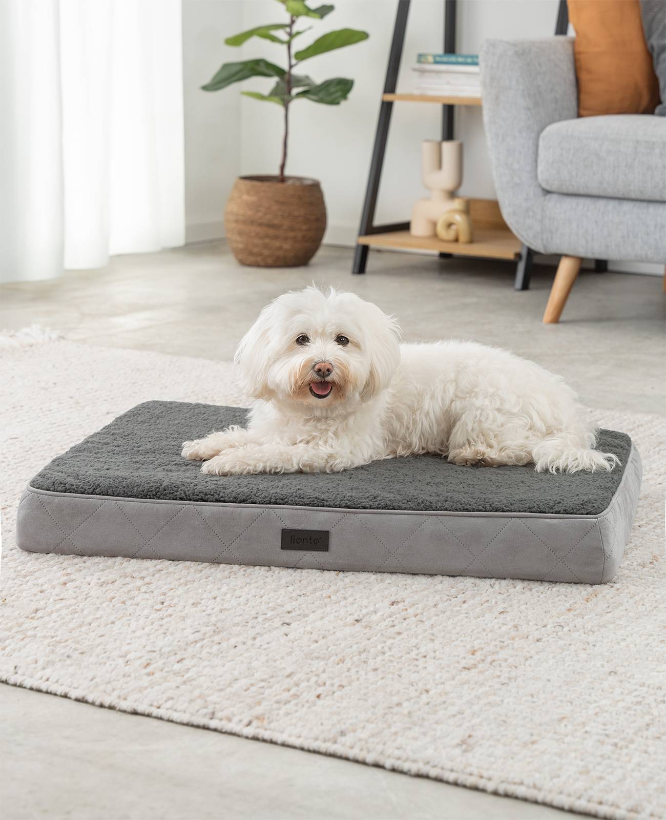 lionto Hundebett, orthopädisches Bett mit Plüschoberfläche & Wildlederimitat, abnehmbarer Bezug & Tragegriff, 76x51x8 cm, grau