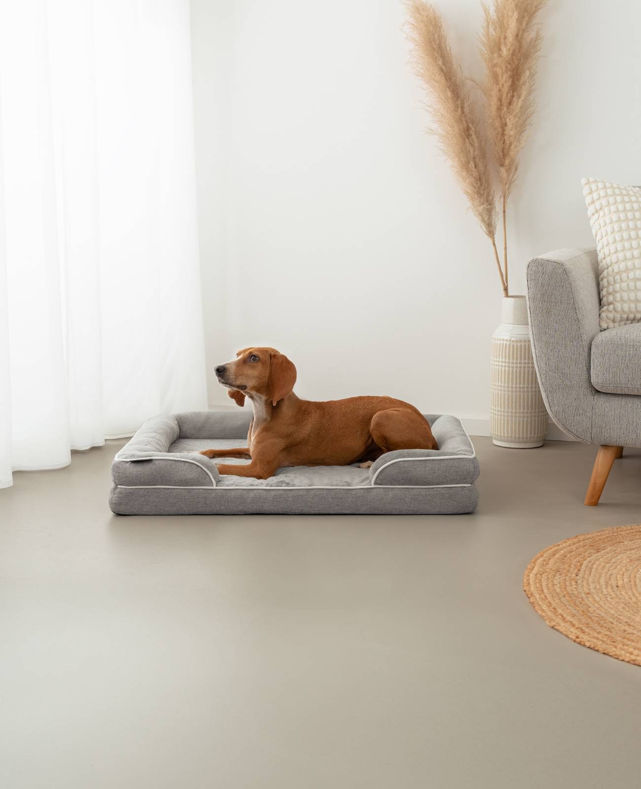 lionto Hundebett premium, orthopädisches Memoryfoam-Bett mit erhöhtem Rand, waschbarem Bezug & stabilem Halt, 97x71x17 cm, grau