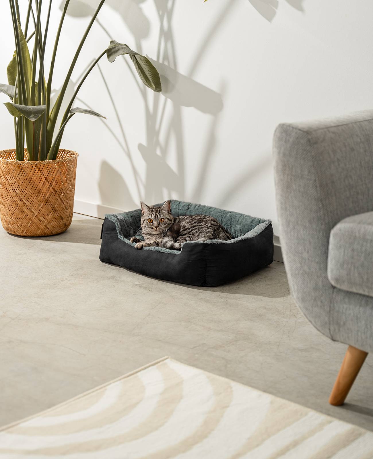 lionto Katzenbett, weiches Kuschelbett mit herausnehmbarem Wendekissen & Anti-Rutsch-Boden, pflegeleicht & modern, 60x48 cm, schwarz/grau