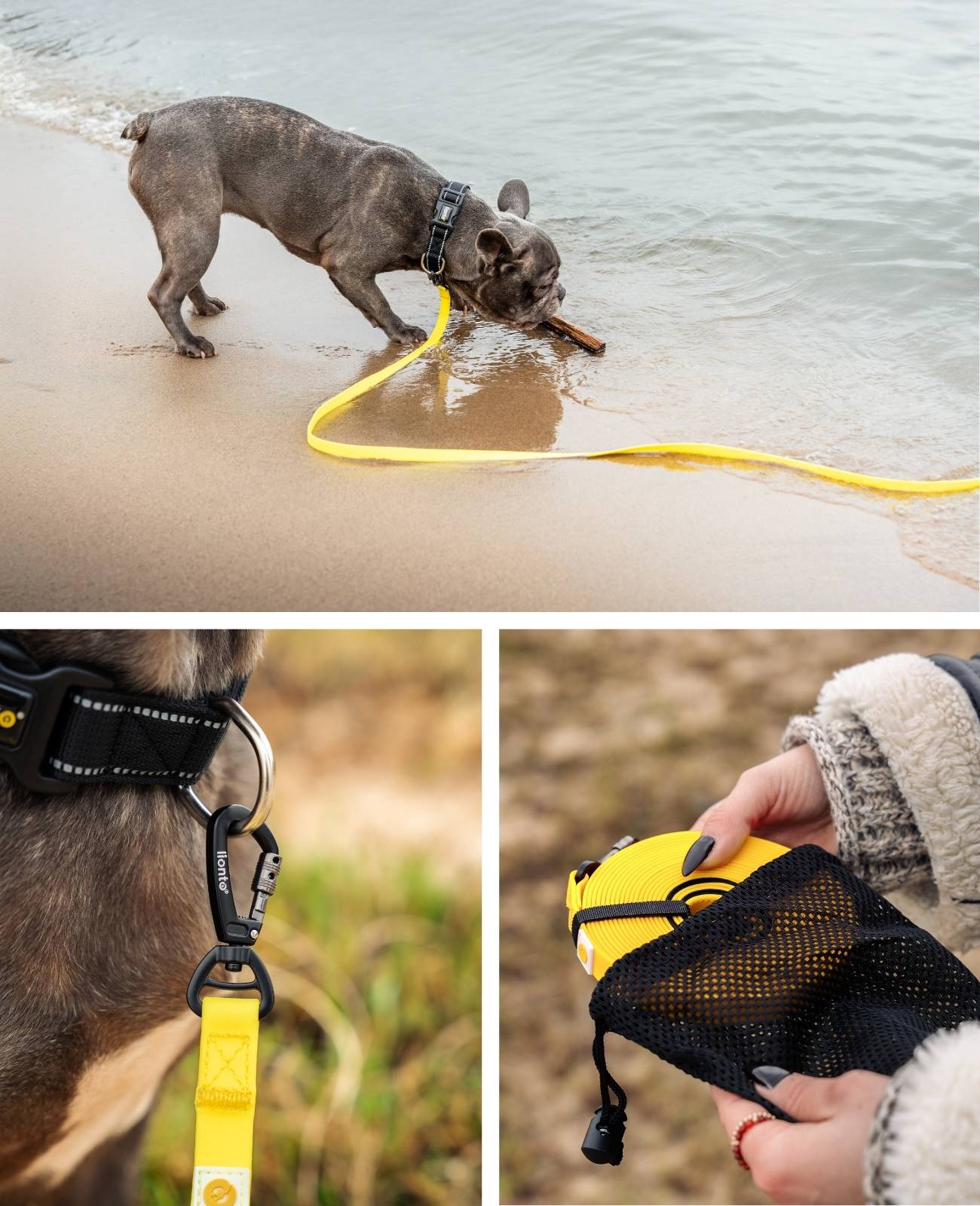 lionto Schleppleine für Hunde 20 m, strapazierfähig & wasserdicht mit weicher Neopren-Handschlaufe und Drehkarabiner, gelb