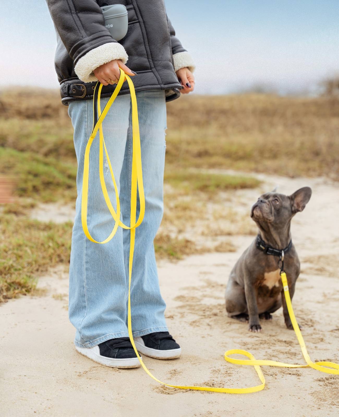 lionto Schleppleine für Hunde 20 m, strapazierfähig & wasserdicht mit weicher Neopren-Handschlaufe und Drehkarabiner, gelb