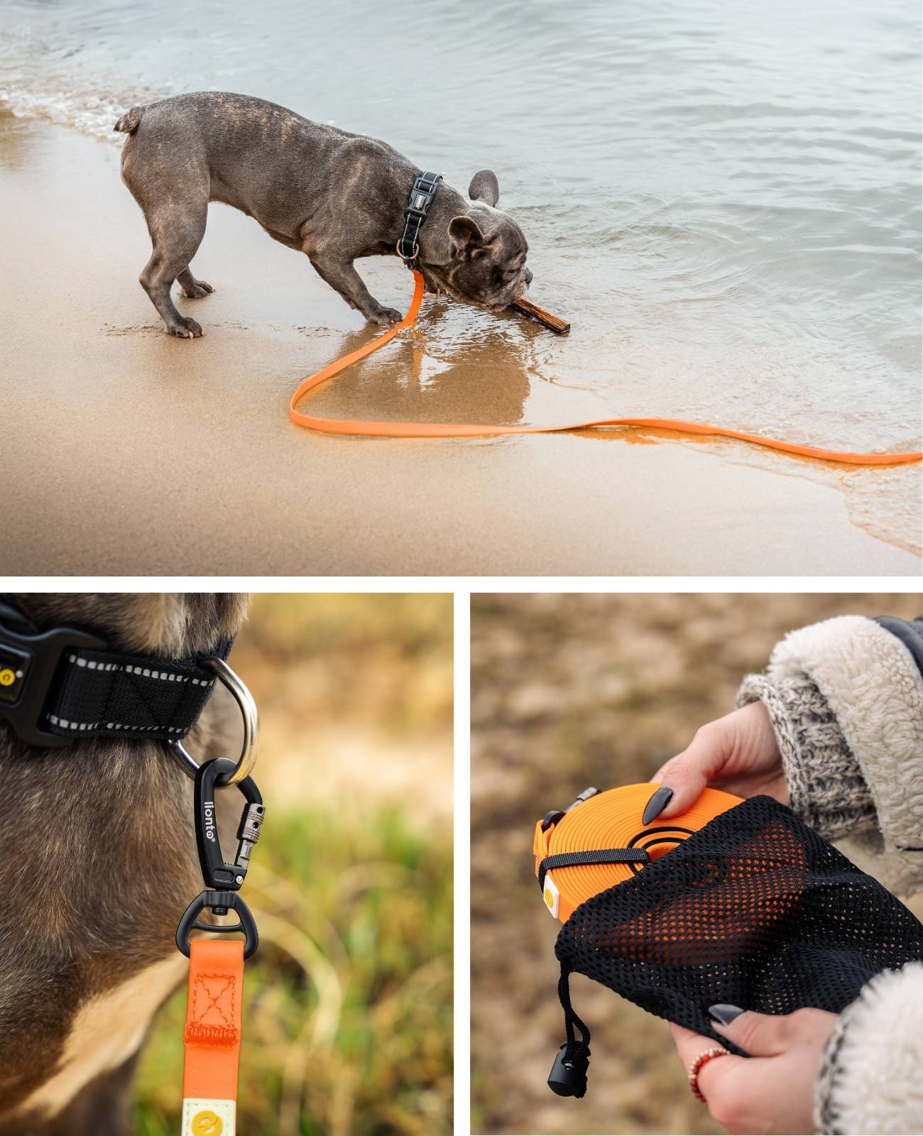 lionto Schleppleine für Hunde 10 m, strapazierfähig & wasserdicht mit weicher Neopren-Handschlaufe und Drehkarabiner, orange