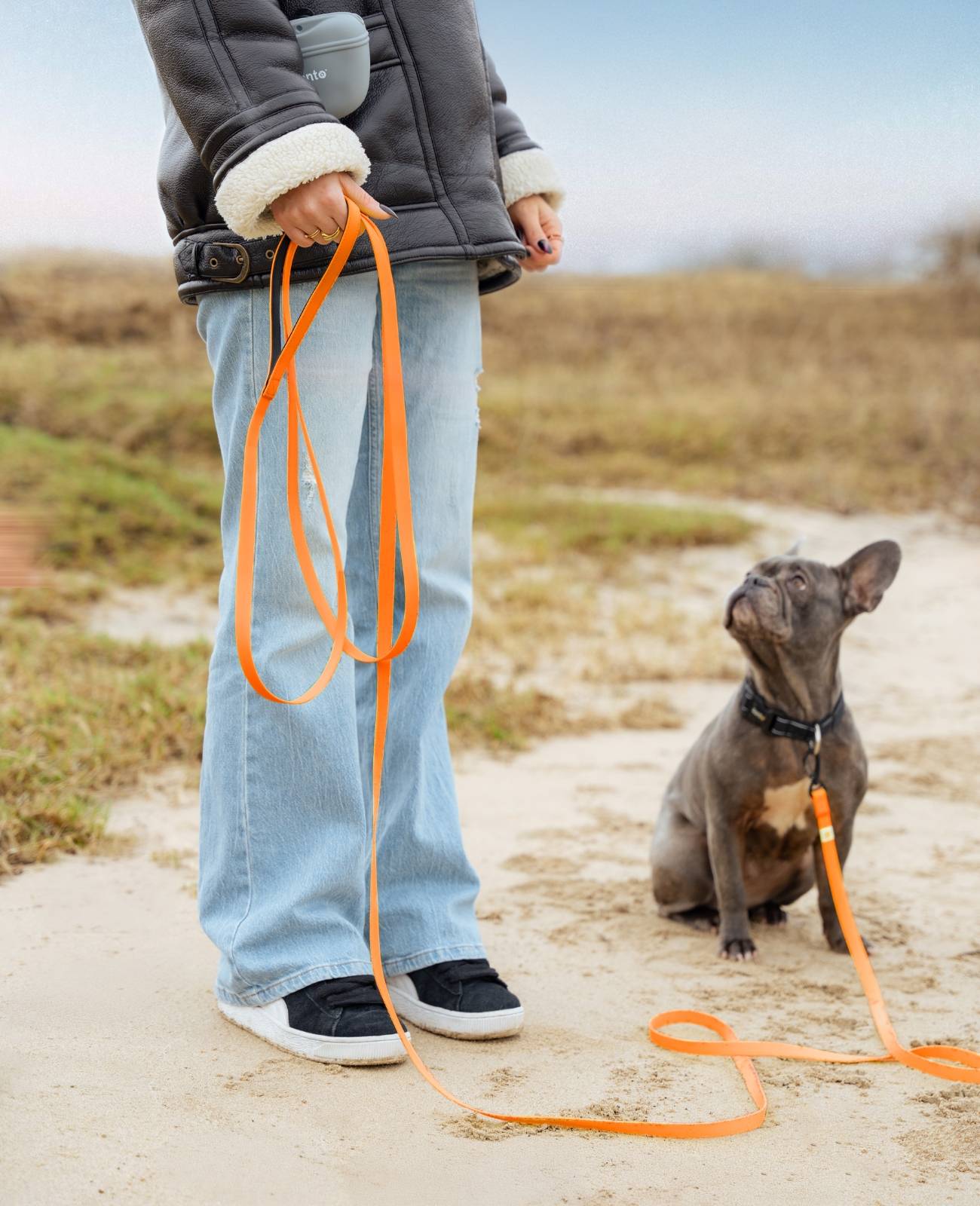lionto Schleppleine für Hunde 5 m, strapazierfähig & wasserdicht mit weicher Neopren-Handschlaufe und Drehkarabiner, orange