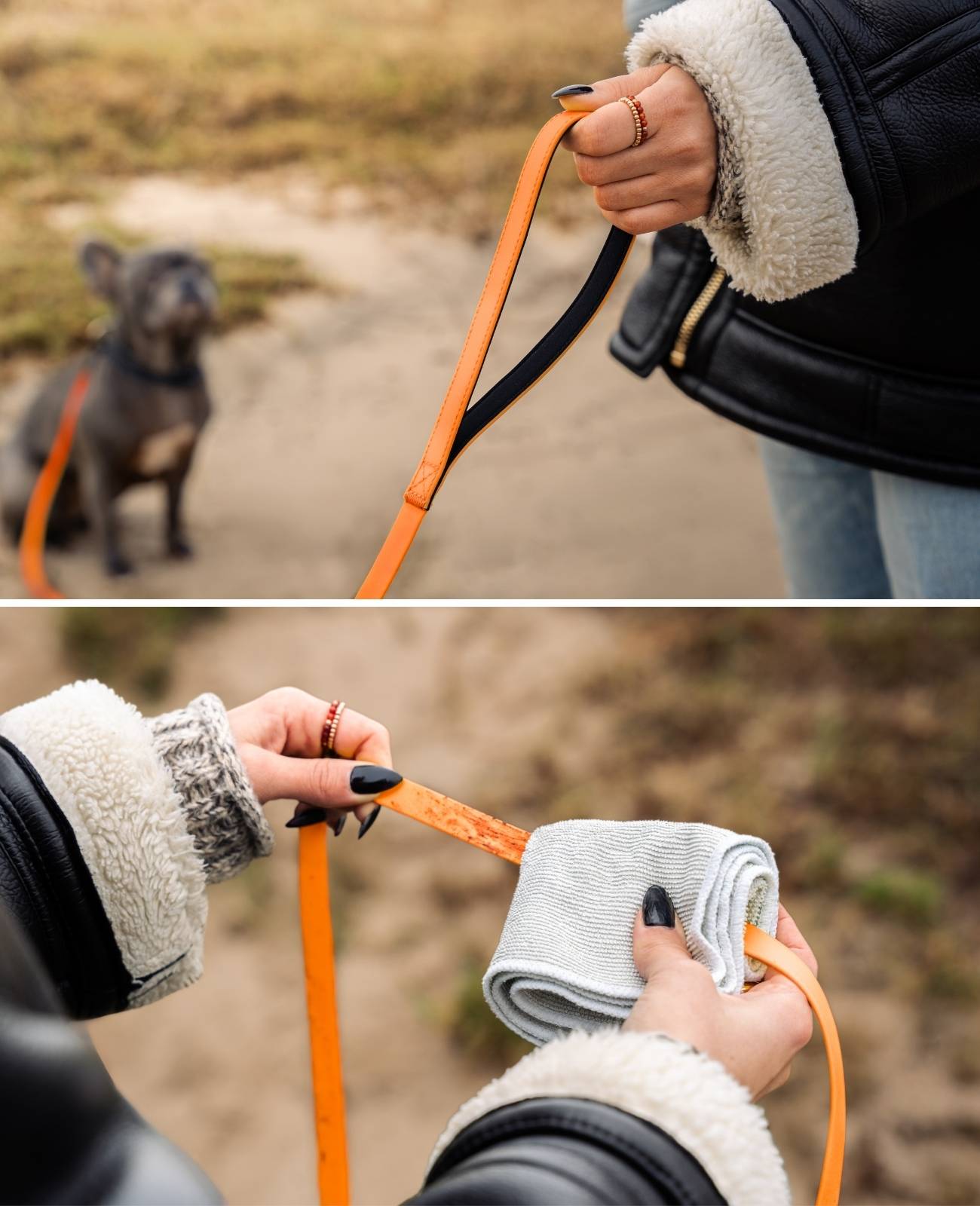 lionto Schleppleine für Hunde 10 m, strapazierfähig & wasserdicht mit weicher Neopren-Handschlaufe und Drehkarabiner, orange