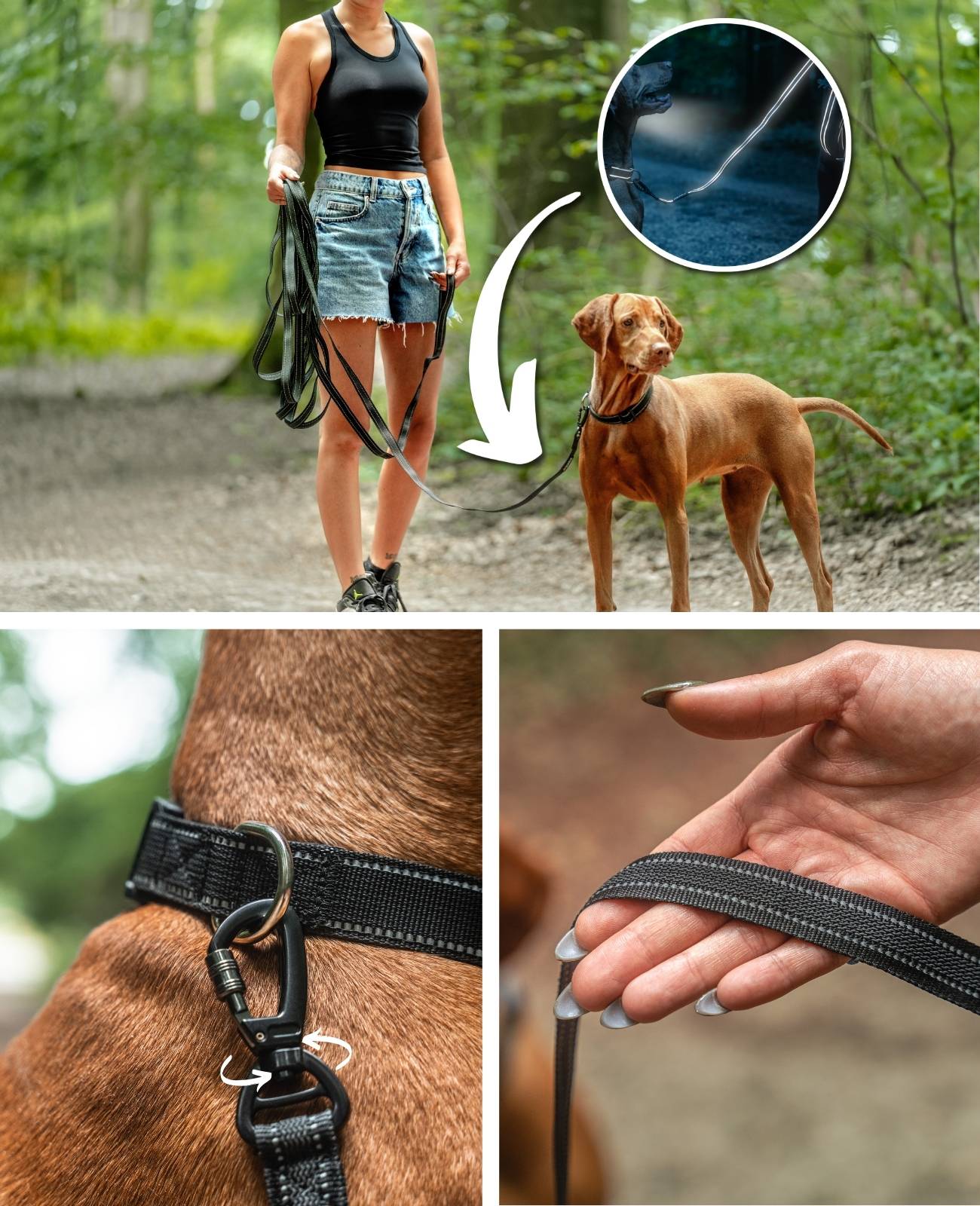 lionto Schleppleine für Hunde 15 m gummiert, reflektierend & wetterfest mit Handschlaufe und 360°-Karabiner, schwarz